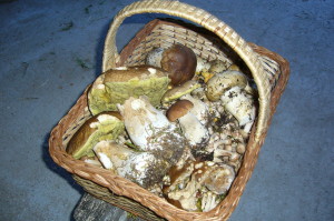 fónghe: pulcine, ciodéte, daléte, patate
