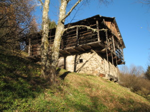 tabié